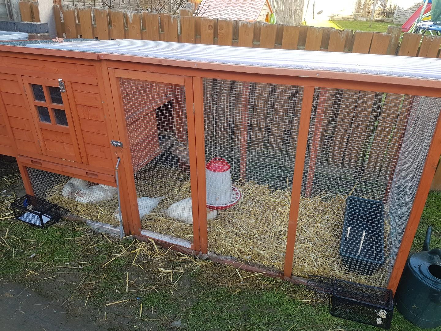 Rabbit hatch chicken coop in LU4 Luton für 100,00 £ zum Verkauf | Shpock DE