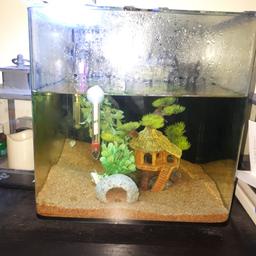 30L fish tank which comes with 
Heater
Filter
Fake plants
Sand
And rock

Selling because i have ordered a larger tank