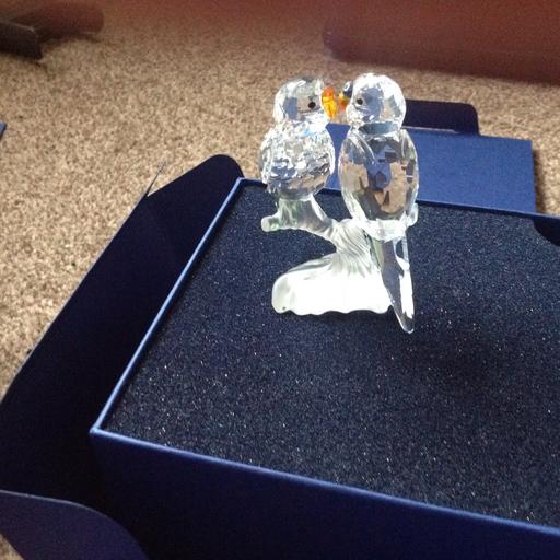 Buy & Sell Mitcham Junction Sutton - Photos for Swarovski Budgies