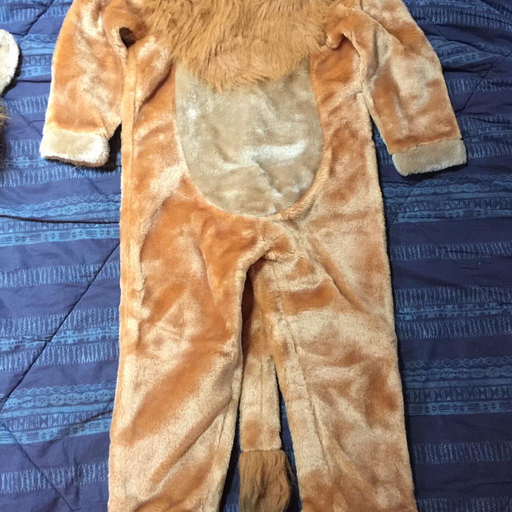 Vestito carnevale Re Leone 3/4 anni in 20874 Roncello for €8.00 for sale