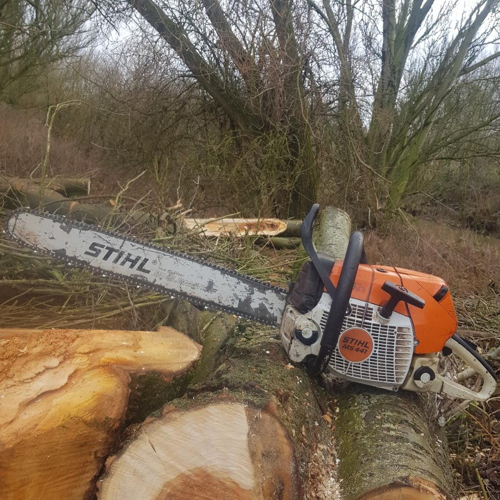 Stihl 441 store chainsaw price