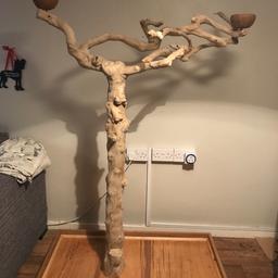 Java tree large 

150cm tall
104cm wide

In new condition, only had a couple months and selling as my African grey won’t use it prefers to sit on her cage or on the floor. 

£150 

collection Bedford