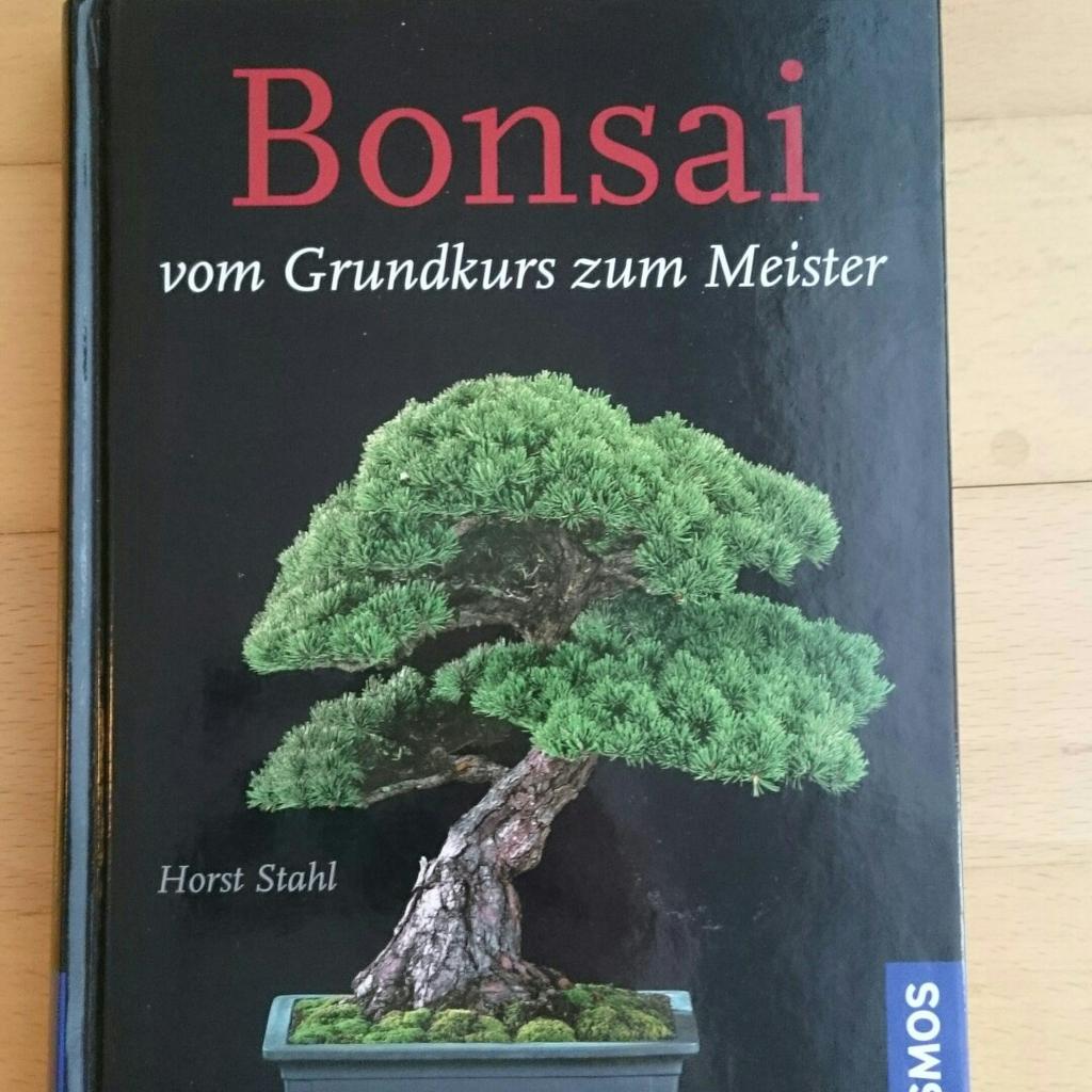 bonsai basil Bonsai Basil (2 Pack) – Bonnie Plants main image 0