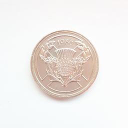 This coin is in good condition and was made in 1986. It is also quite shiny
If you would like to buy it please put in an offer as it is not for free