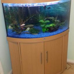 This is a lovely fish tank, with lights inside, a heater, filter and pump. In excellent condition.