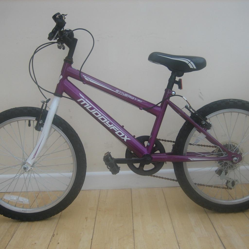 Girls Muddyfox synergy 20 mountain bike in TQ5 Brixham for 10.00