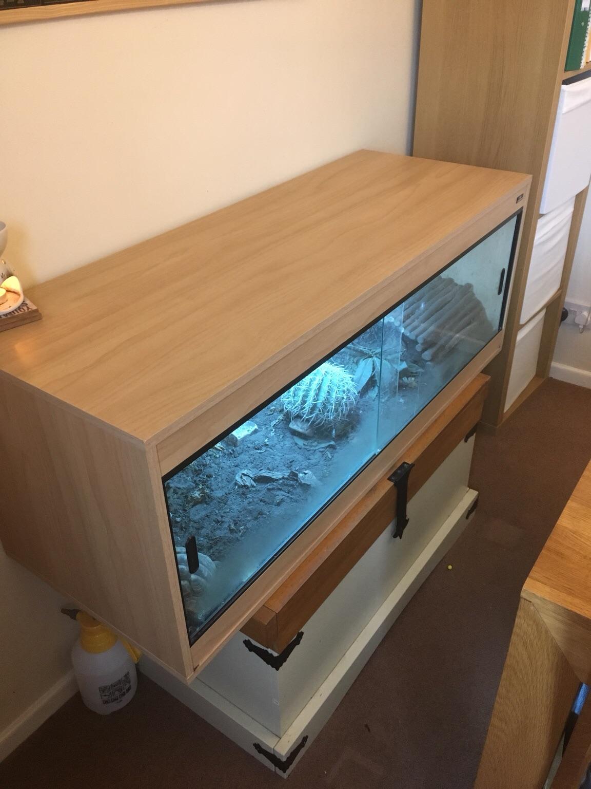 Herman tortoises x2 with tank and more in OX13 6JQ St. Helen Without ...