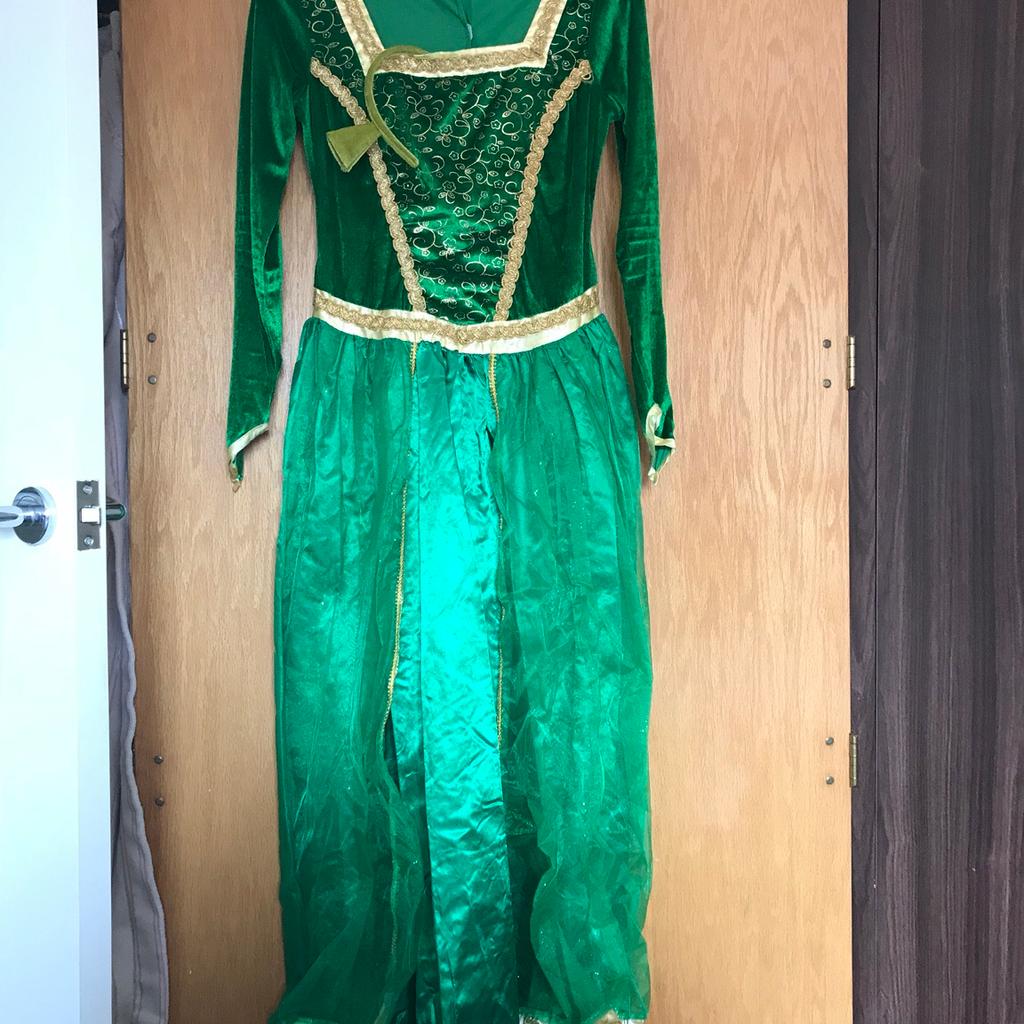 Princess fiona sale costume asda