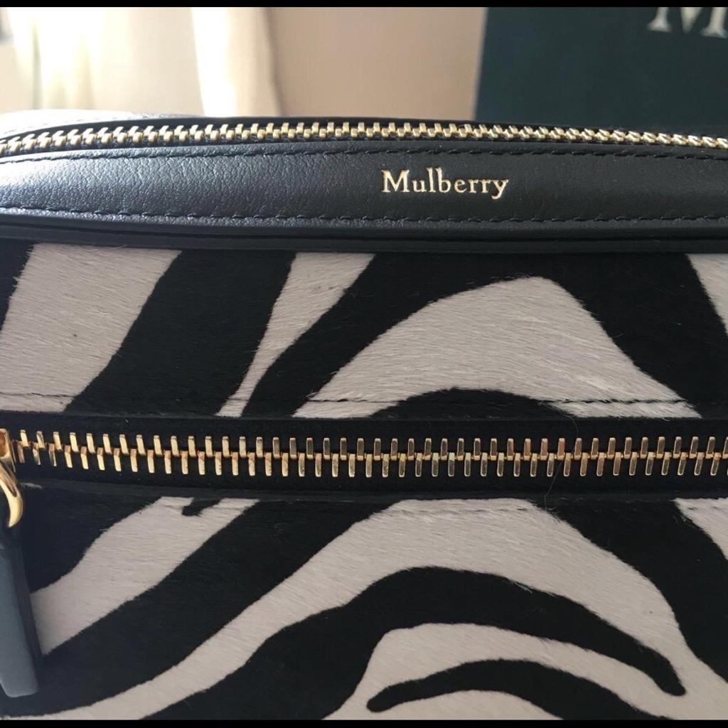 Mulberry Camera Bag in ME7 Gillingham for £295.00 for sale Shpock