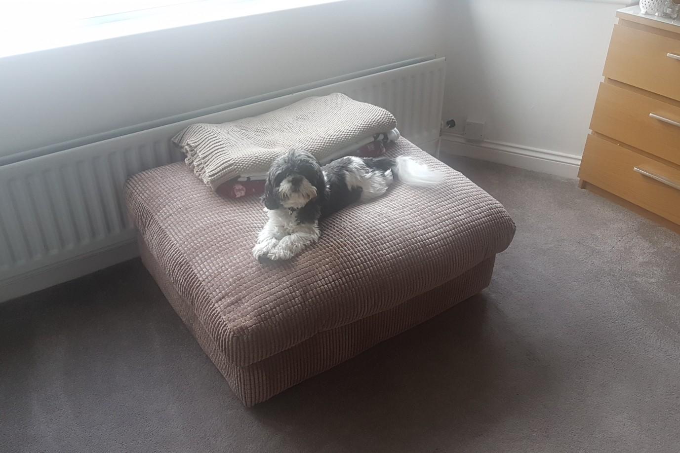 3 and 2 seater sofas for sale in B97 Redditch for £100.00 for sale Shpock