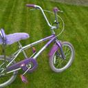 Groovy chick chopper sale