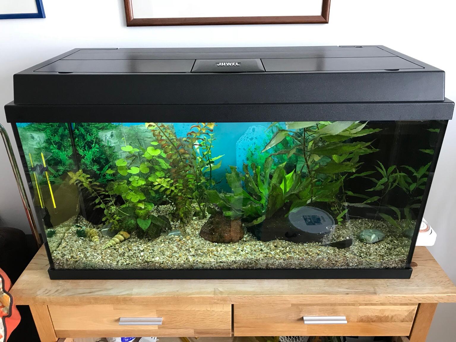 Aquarium Und Terrarium 112 Liter In Niedersachsen – EAJUCG