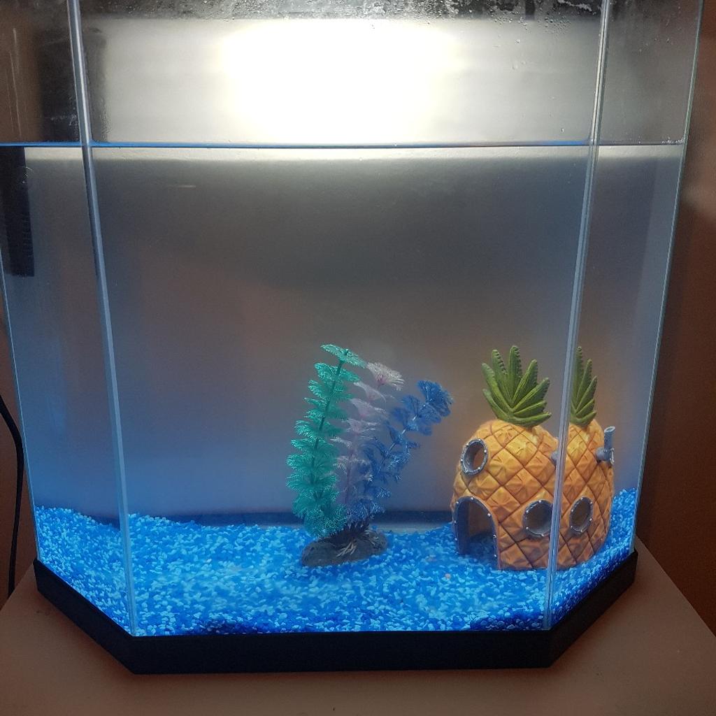 Photo inspiration: Treasure Chest With Led Light For Goldfish Reference: Glass Fish Tank In Cf62 Barry Für 50 00 Zum