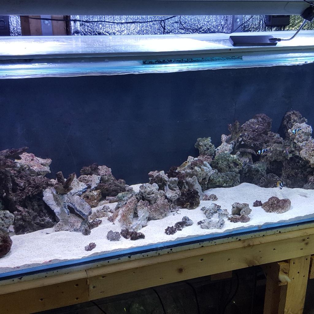 6ft foot fish tank 6x2x2 aquarium in Basildon für £ 120,00 zum Verkauf ...