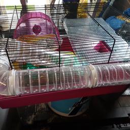 Free to a good home..... 
Starter kit for any bidding hamster owners. Includes cage, water bottle, wheel, bedding and some food.