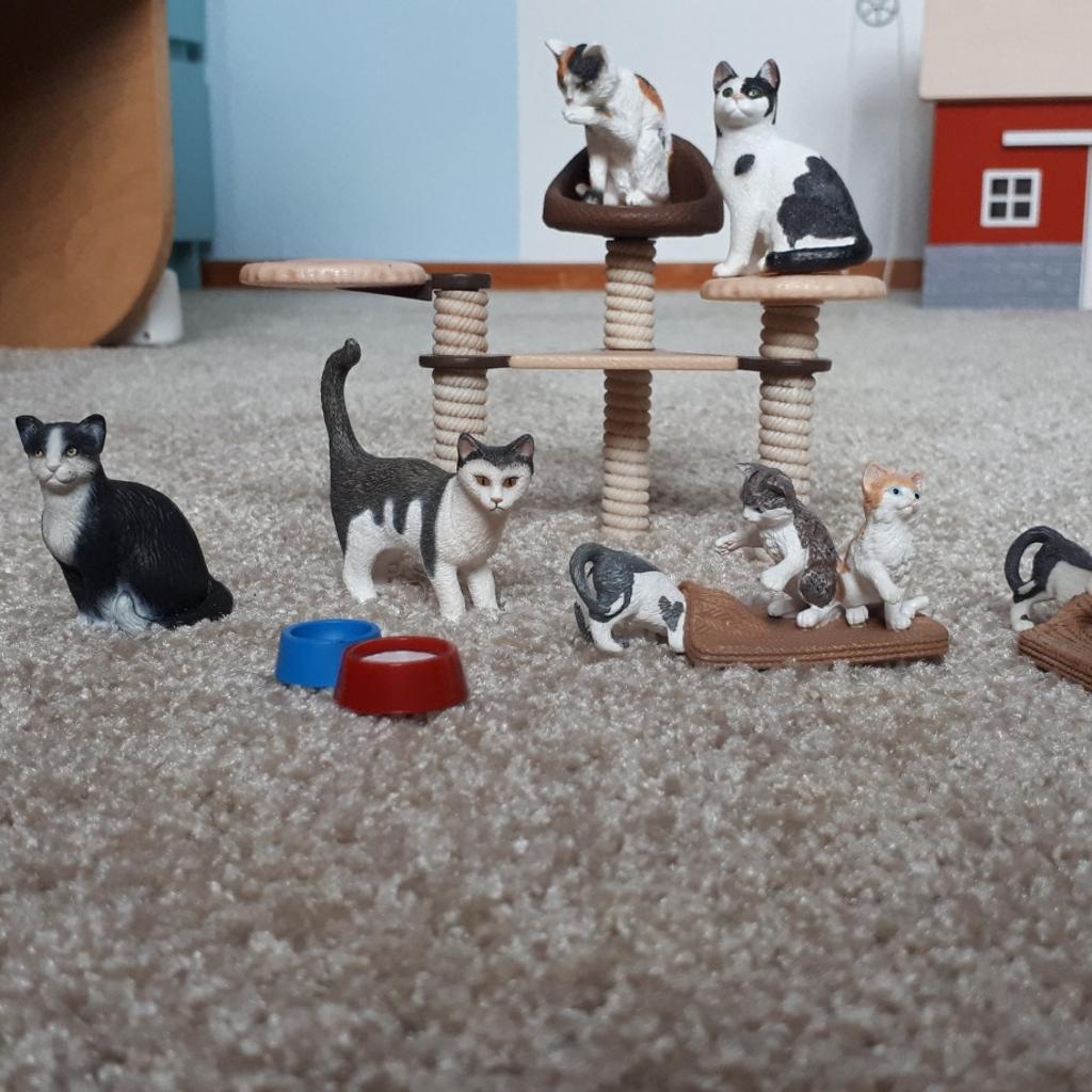 Schleich Katzen in 63785 Obernburg am Main für 15,00 € zum Verkauf