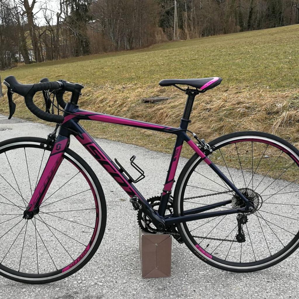 pelago schutzbleche Pelago Silvo Eliel Green  das City-Packing-Bike