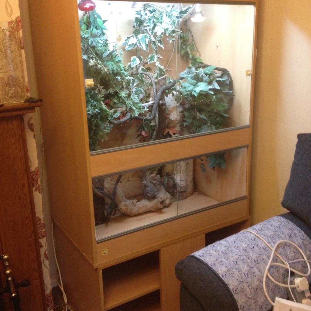 Large vivarium suitable for chameleons in NN10 Northamptonshire for £ ...