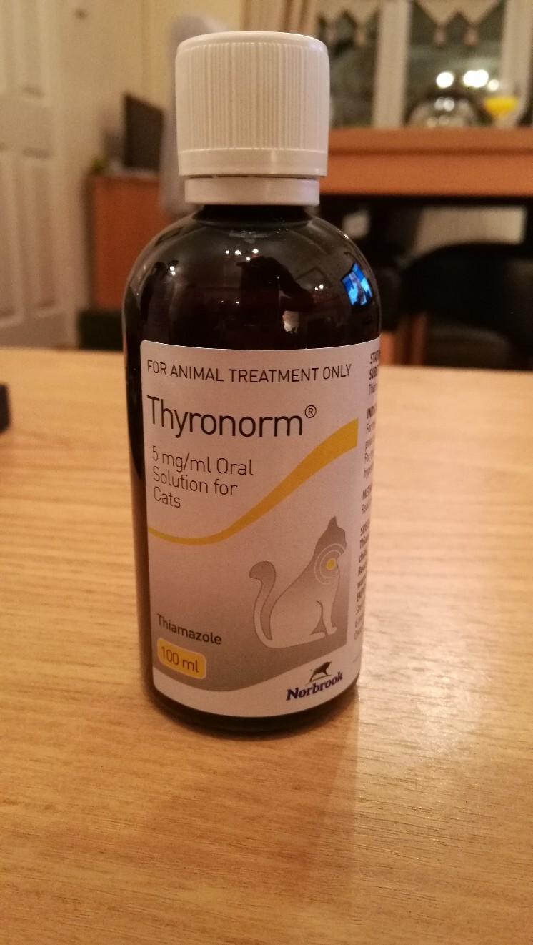 Thyronorm for cats in DY5 Dudley für 50,00 £ zum Verkauf Shpock DE
