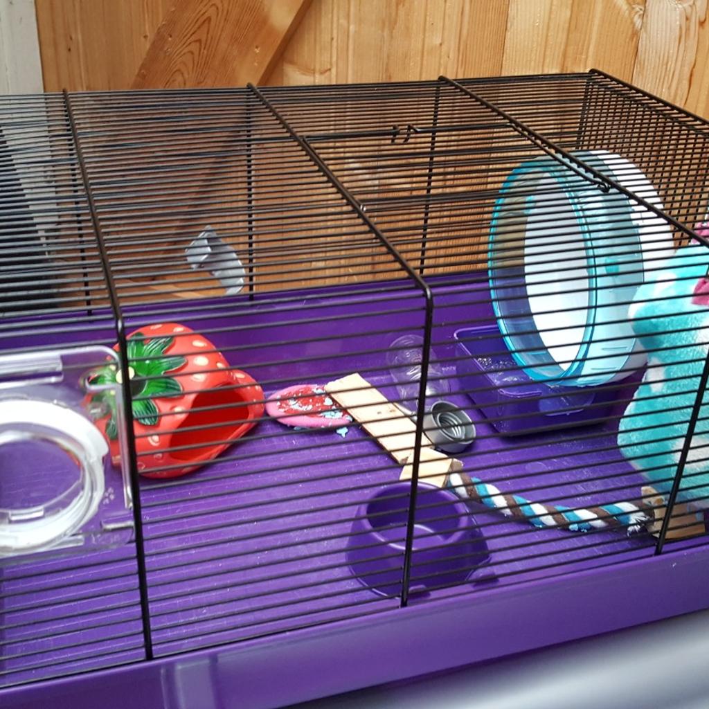 Hamster Cage in WR3 Worcester für £ 10,00 zum Verkauf | Shpock AT