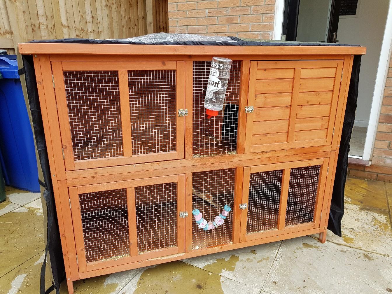 X2 dwarf lop rabbits + hutch and cover in S70 Barnsley für 60,00 £ zum ...