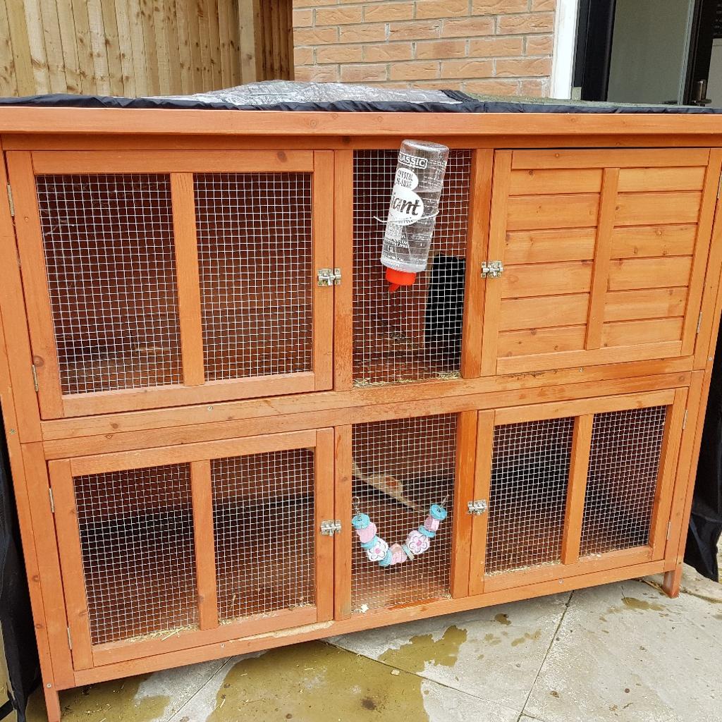 X2 dwarf lop rabbits + hutch and cover in S70 Barnsley für 60,00 £ zum