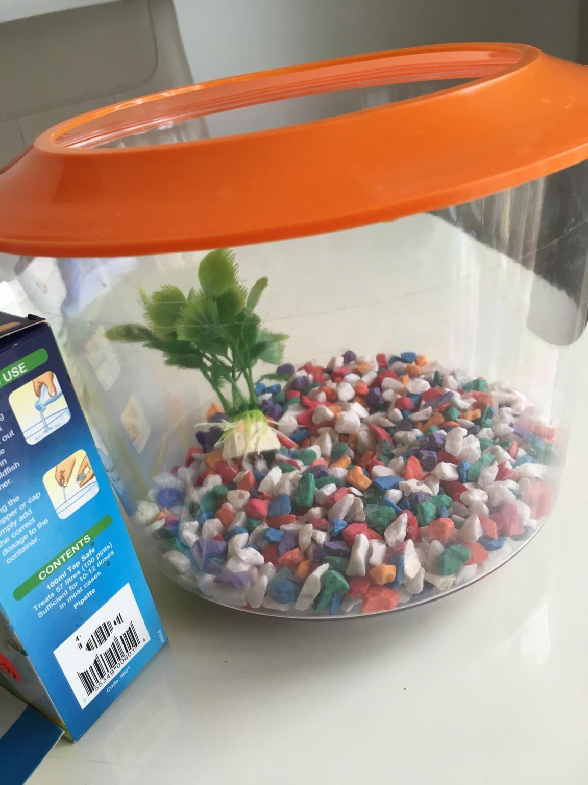 Goldfish starter kit in N19 Islington für 10,00 £ zum Verkauf Shpock DE