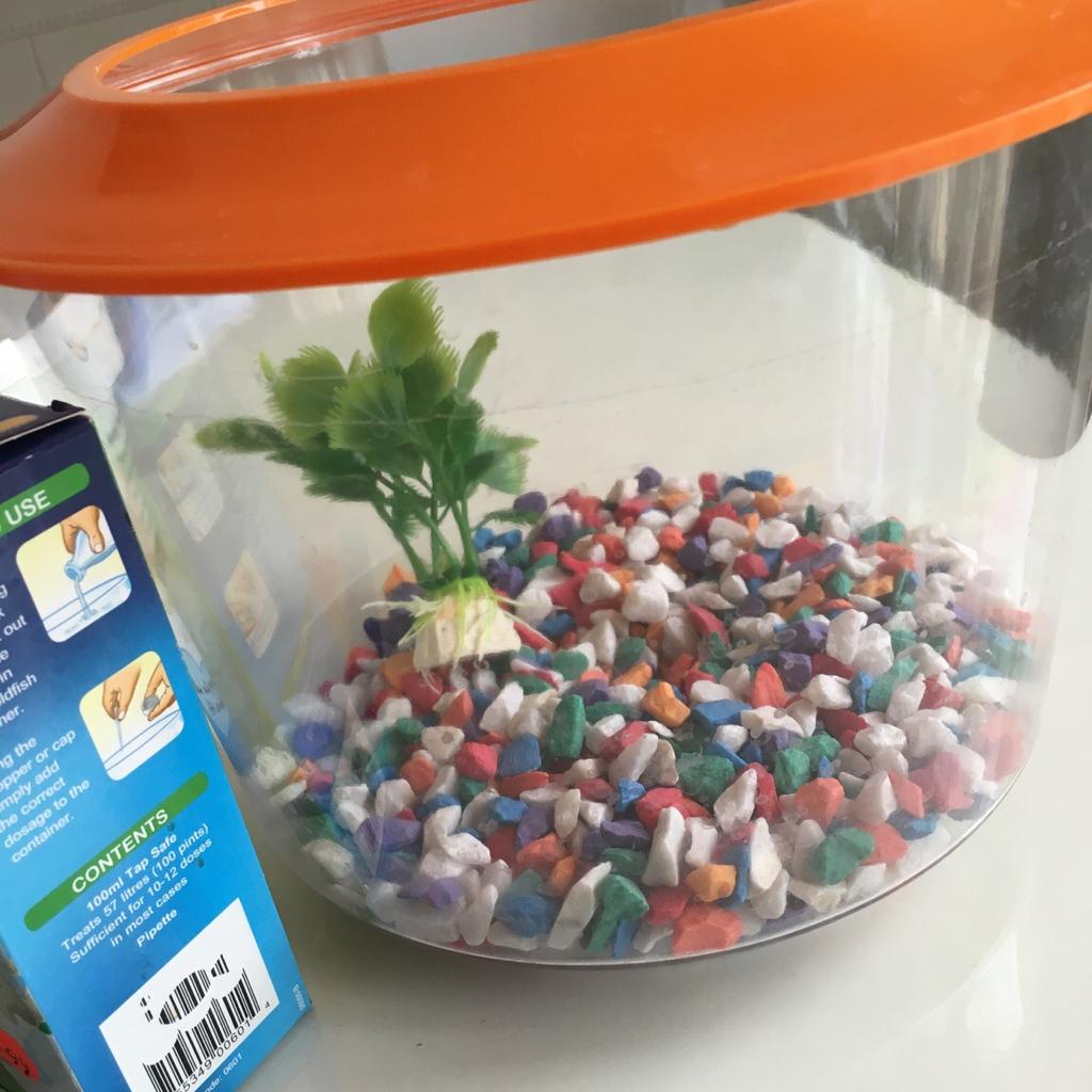 Goldfish starter kit in N19 Islington für 10,00 £ zum Verkauf | Shpock DE