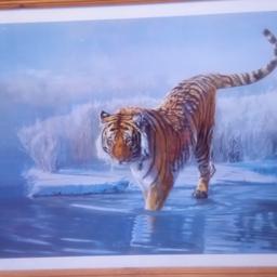 Lovely wood framed tiger print.