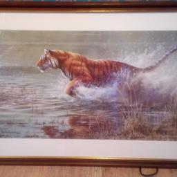 Dark wood framed beautiful tiger picture.