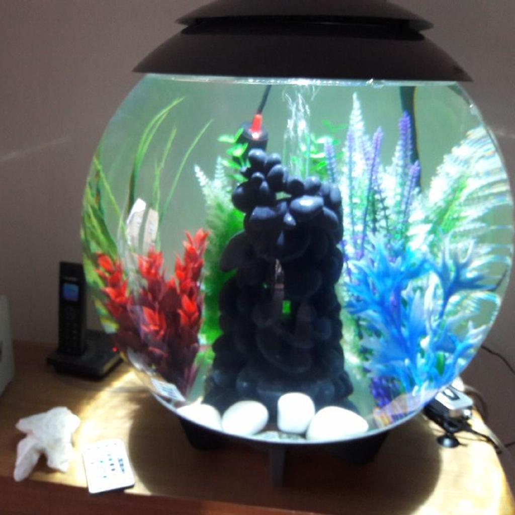 60 litre orb fish tank in DH6 Hetton for £120.00 for sale Shpock