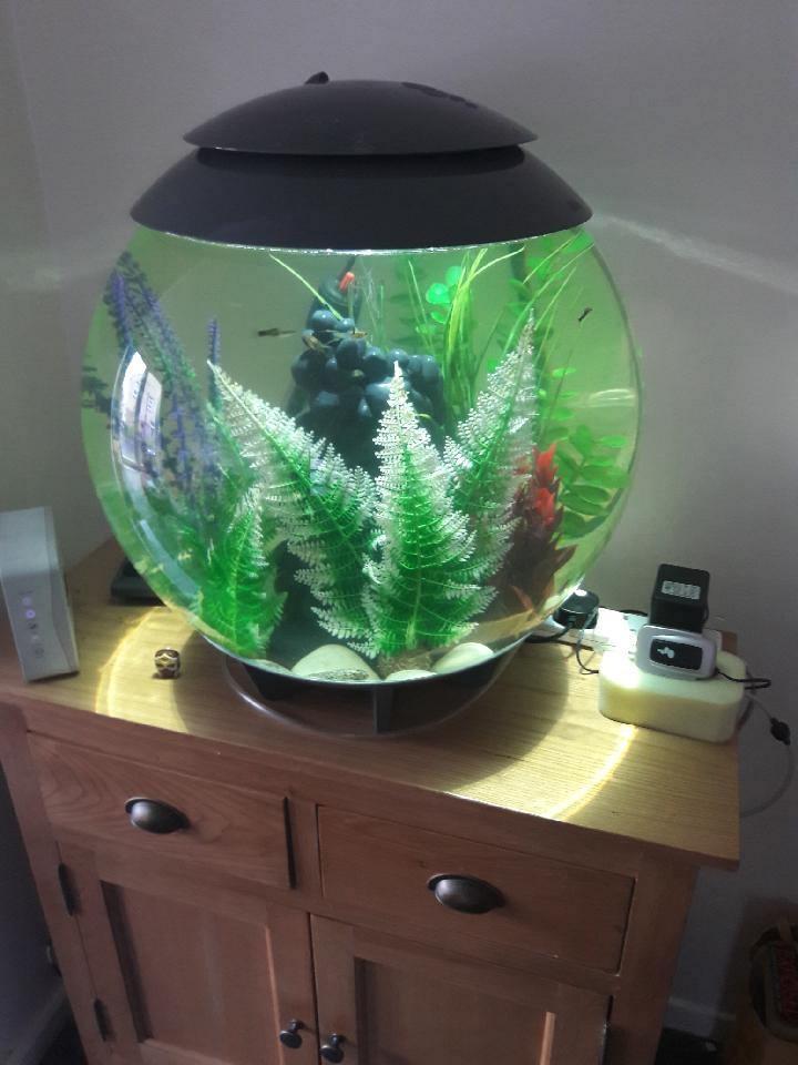 60 litre orb fish tank in DH6 Hetton for £120.00 for sale Shpock