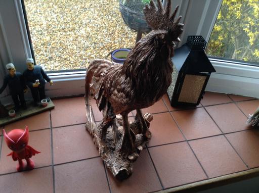 Buy & Sell Beggarwood Basingstoke and Deane - Photos for Gold coloured cockerel