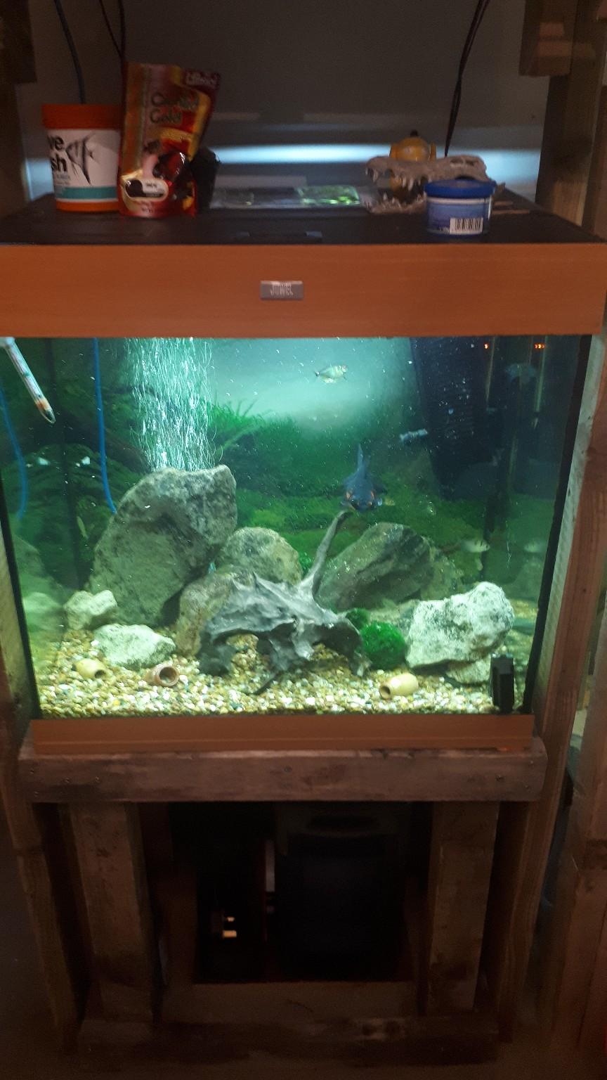 Jewel 120l cube fish tank & stand in WS3 Walsall für 45,00 £ zum