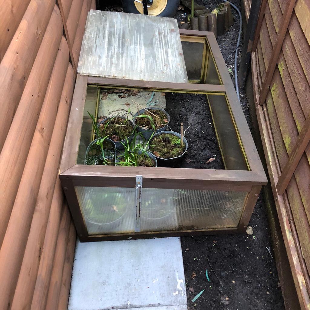 Cold frame in B63 Dudley for free for sale Shpock