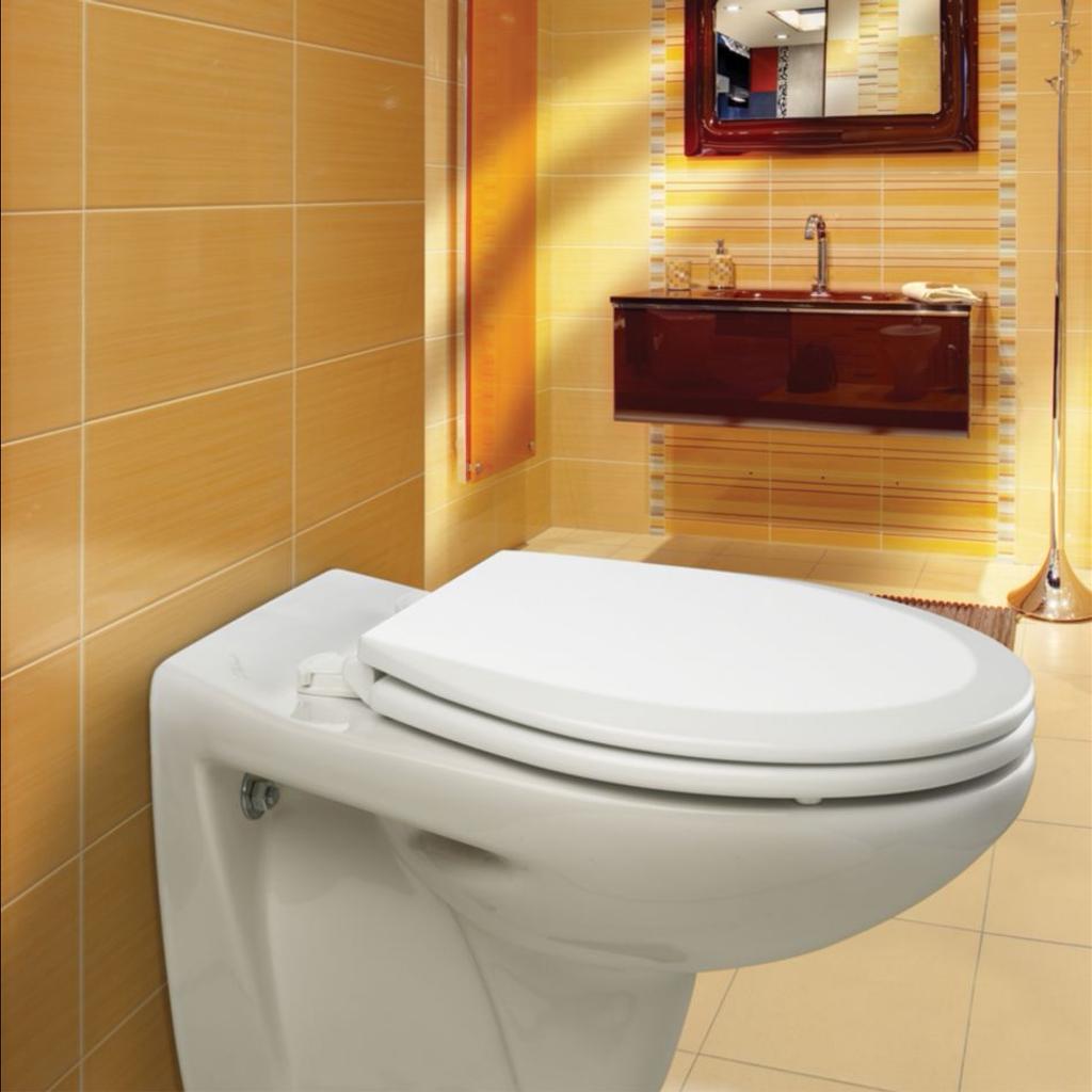 Bemis Toilet Seat with Smartlift TakeOff in B11 Birmingham for £25.00