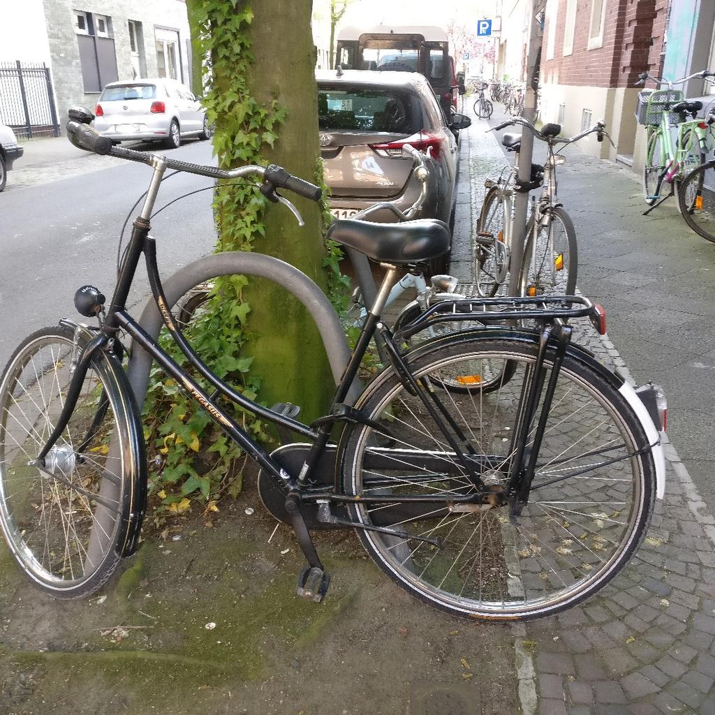 Schwarzes Damen-Hollandrad von Pegasus in 48155 Mnster fr 150,00  zum  Verkauf | Shpock DE
