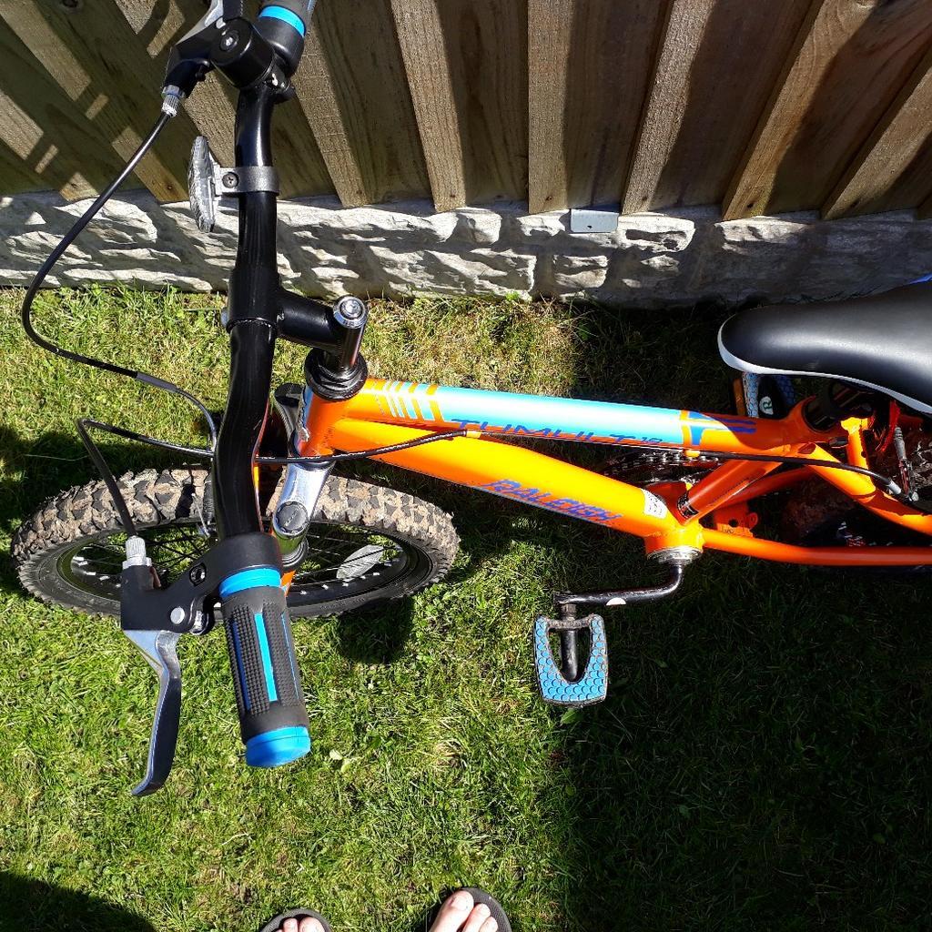 Raleigh Tumult 18 Wheel Kids Bike in Ashfield for 80.00 for sale Shpock