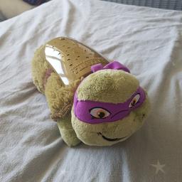 Ninja turtle pillow pet.
Nightlight...reflects stars and ninja turtle in multiple colours to the ceiling.
My boy wasnt massively keen but i loved it lol.
Will need some batteries. But only a few weeks old.

Collection whitehawk