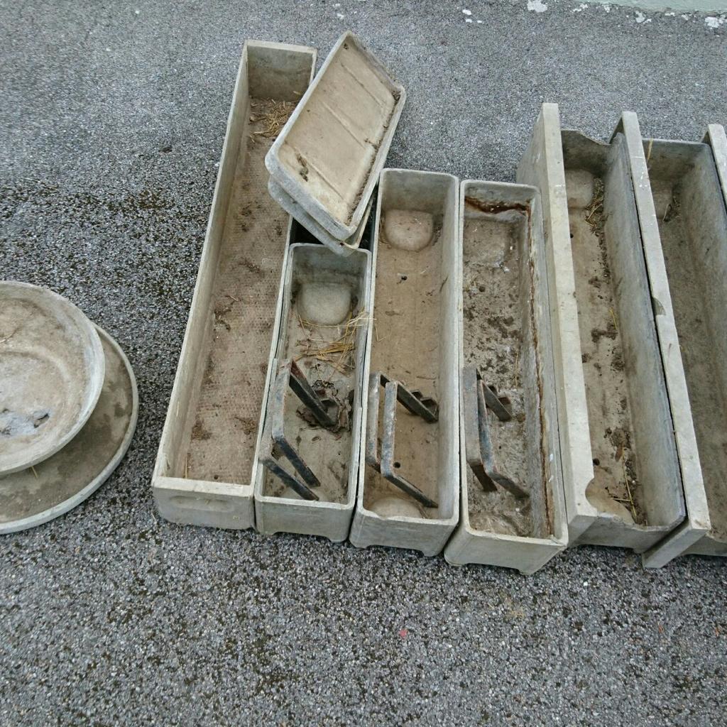 Eternit Blumenkasten Blumenkisten in 8301 Lanitzhhe fr 40,00  zum  Verkauf | Shpock DE