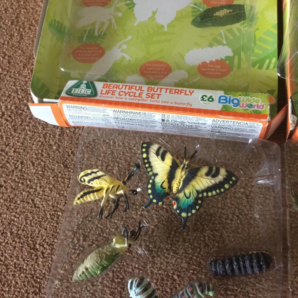 Butterfly frog life cycle set insects animals in DY5 Dudley für 7,00 ...