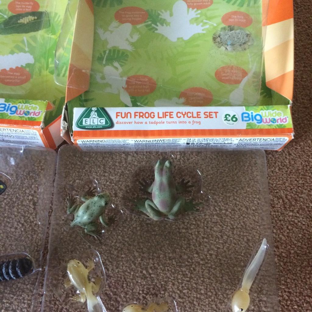 Butterfly frog life cycle set insects animals in DY5 Dudley für 7,00 ...