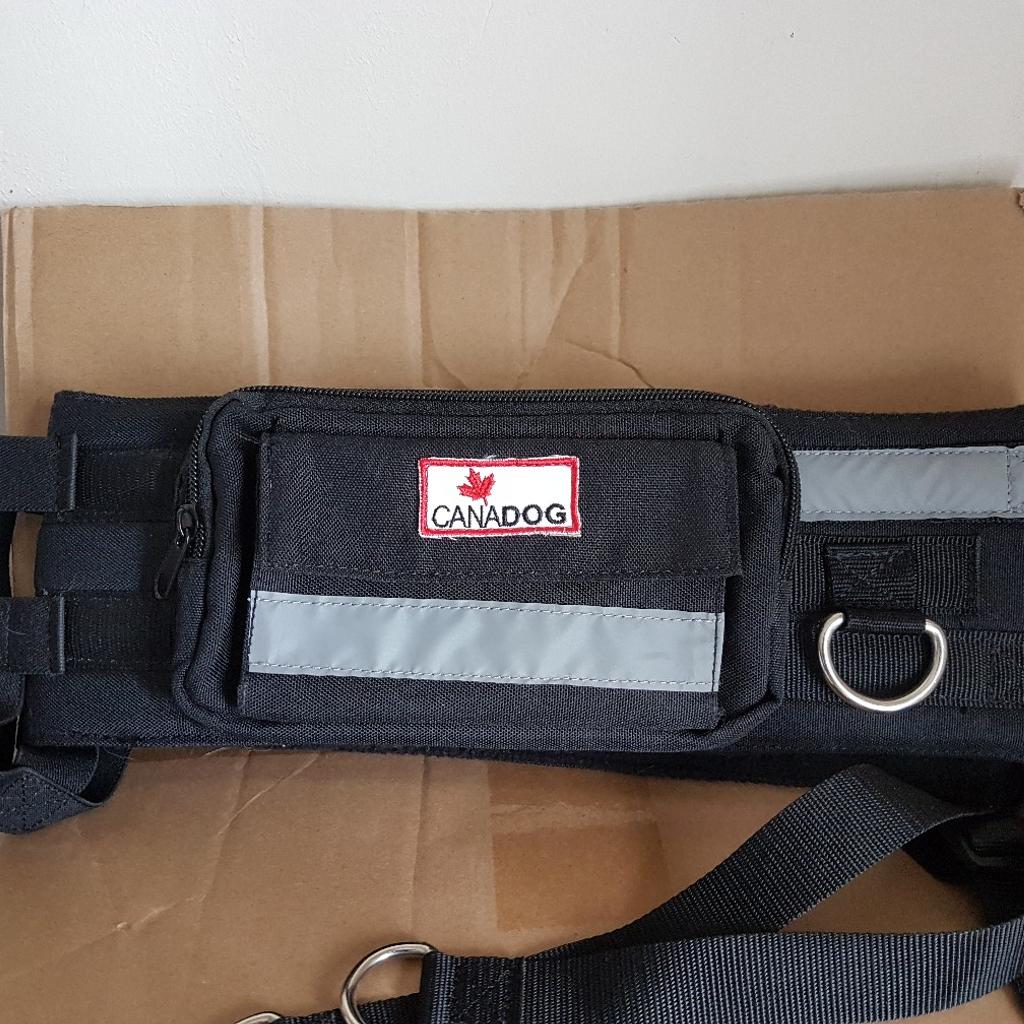 Canadog shop walking belt