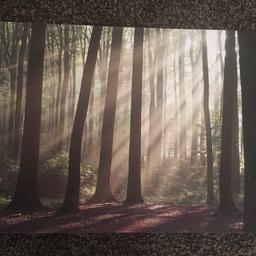 Woodland canvas pictures x4
£2 each or 4 for £5 
Used but in good condition
Collection Langley mill