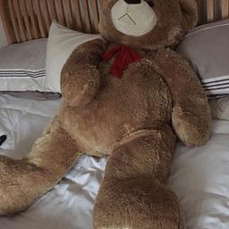 Huge well loved teddy , smoke and pet free home