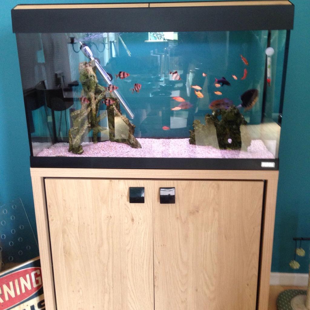 Fluval Roma 125l Fish Tank Full Setup in PR5 Ribble for £140.00 for