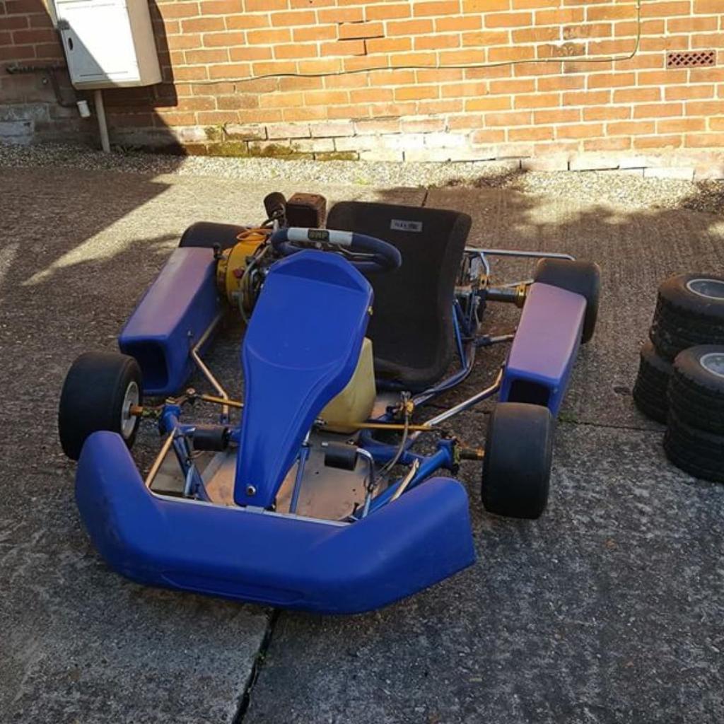 Junior Petrol Go Kart In Ct2 Canterbury For £290.00 For Sale 