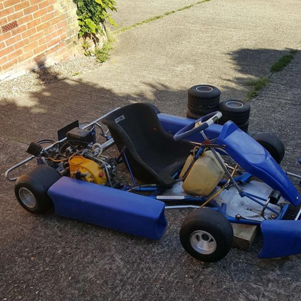 Junior Petrol Go Kart in CT2 Canterbury for £290.00 for sale | Shpock