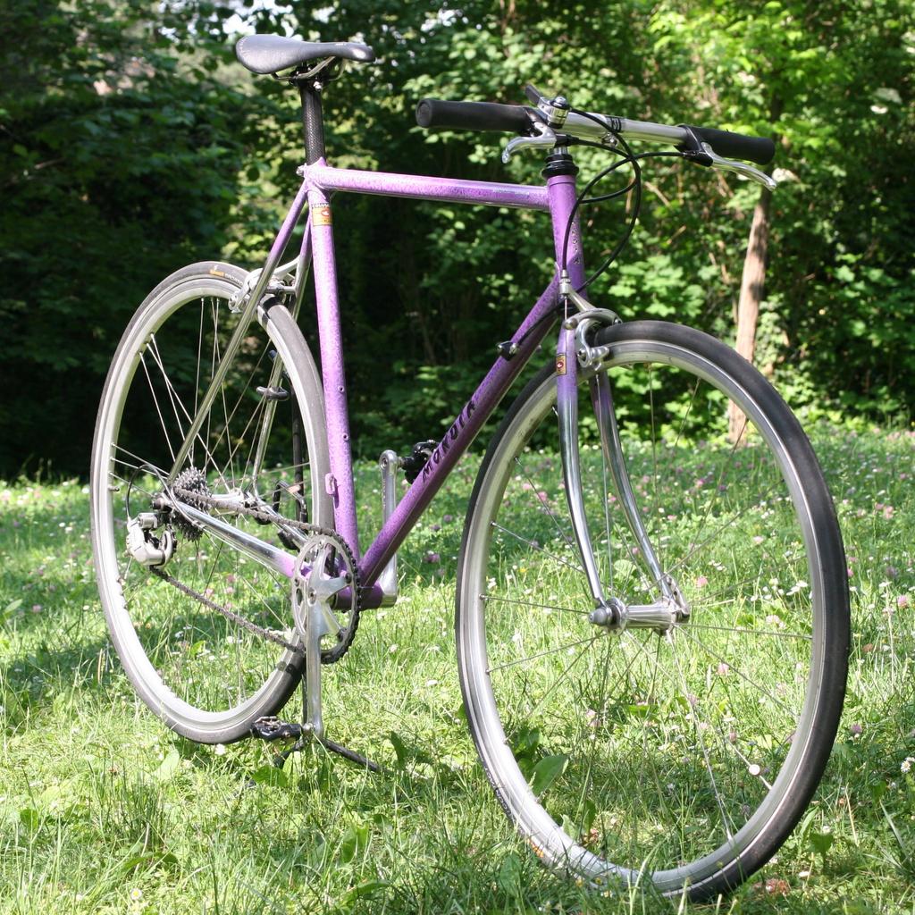 Mondia Columbus EL Rennrad Flatbar in 1190 Wien fr 380,00  zum Verkauf |  Shpock DE