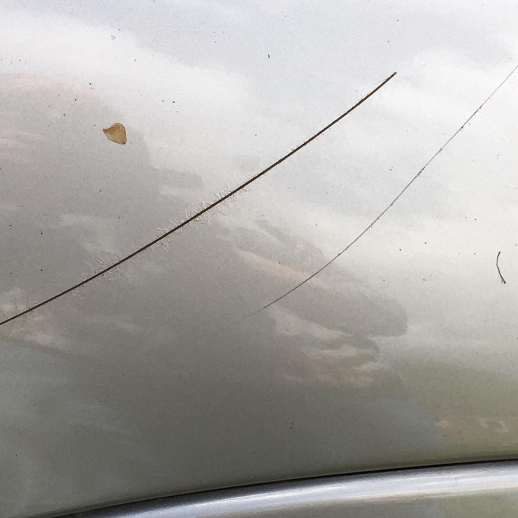 Ford Ka in B98 Redditch für 300,00 £ zum Verkauf | Shpock DE